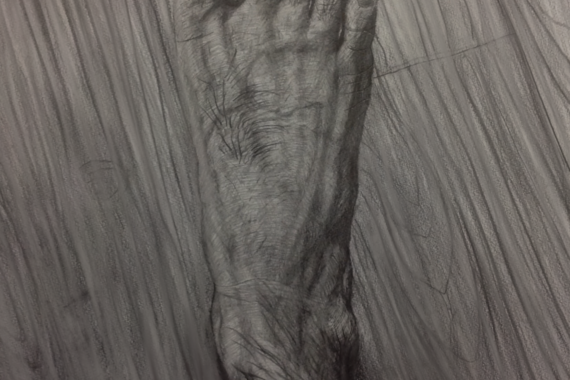 Trace